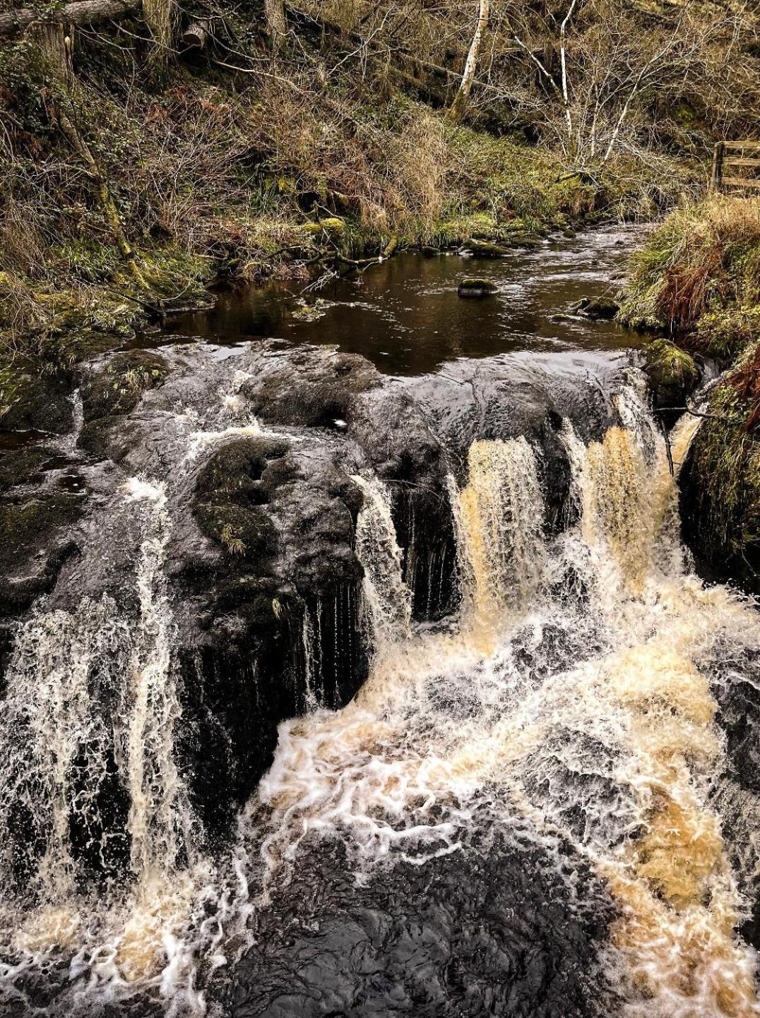 Glenariff Forest Evergreen Lodge Екстер'єр фото
